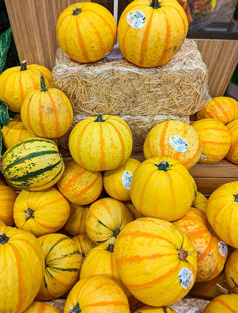 Szepty pomidorów: Sekrety uprawy heirloom w miejskiej dżungli